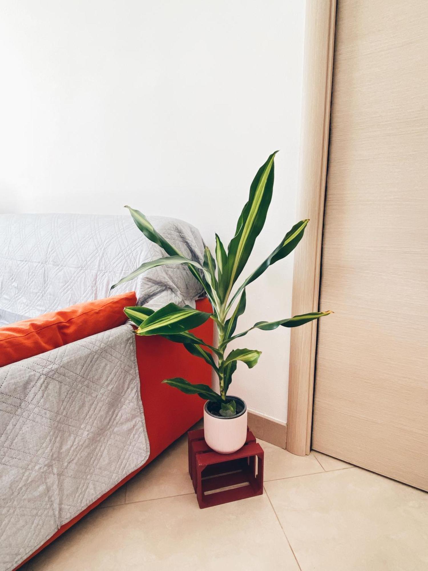 Apartment In Siena With Private Parking Eksteriør bilde
